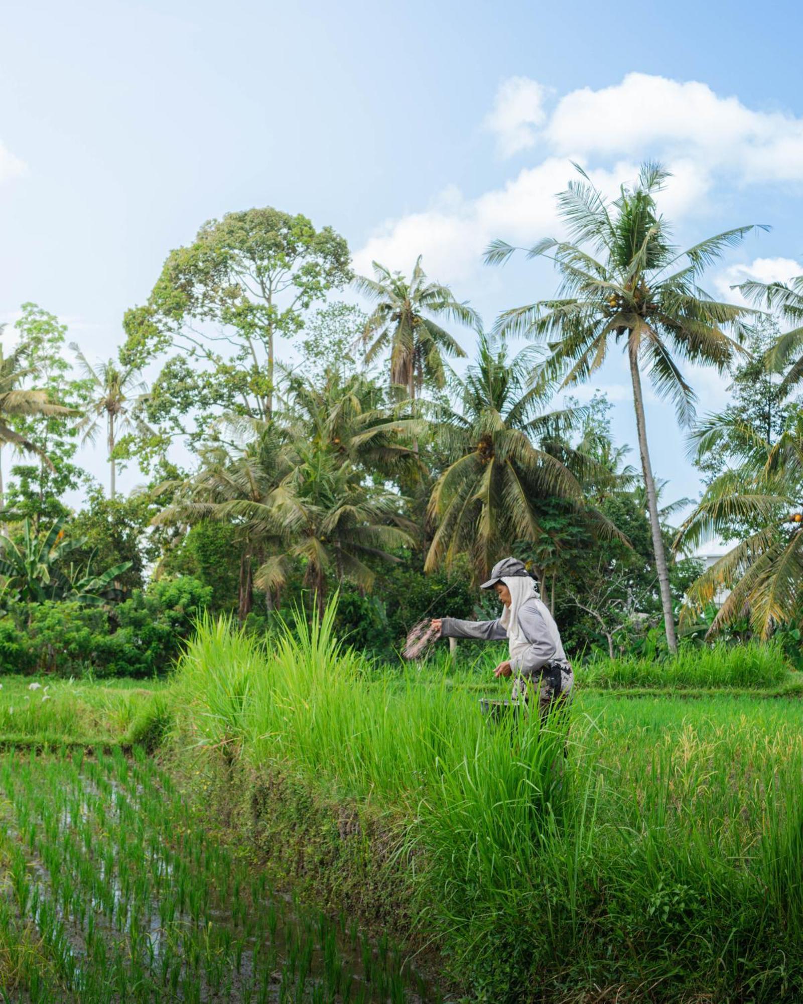Tannari Villa Ubud Exteriér fotografie