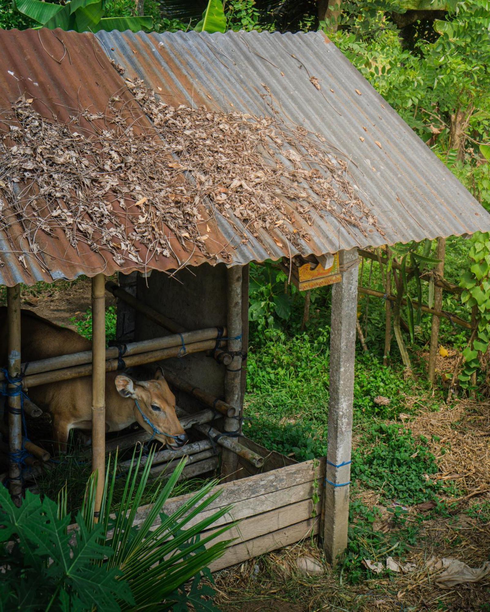 Tannari Villa Ubud Exteriér fotografie